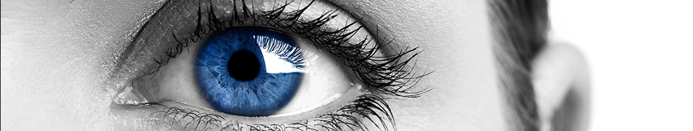 facial recognition software