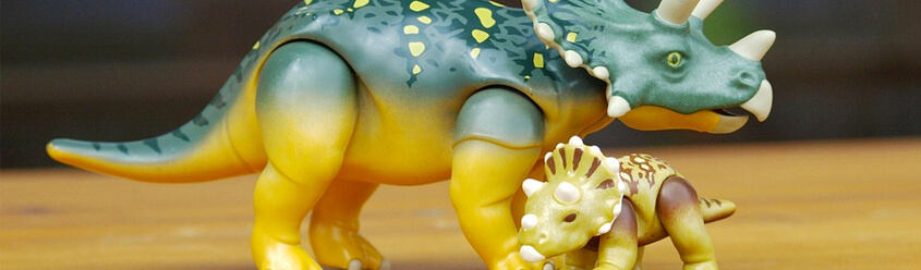 Facilities Management Services